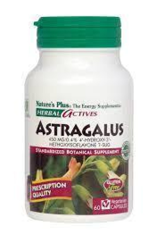 Natures Plus ASTRAGALUS 450 MG 60 φυτικές κάψουλες