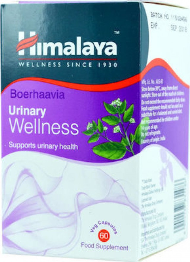 Himalaya Wellness Urinary Wellness 60 φυτικές κάψουλες